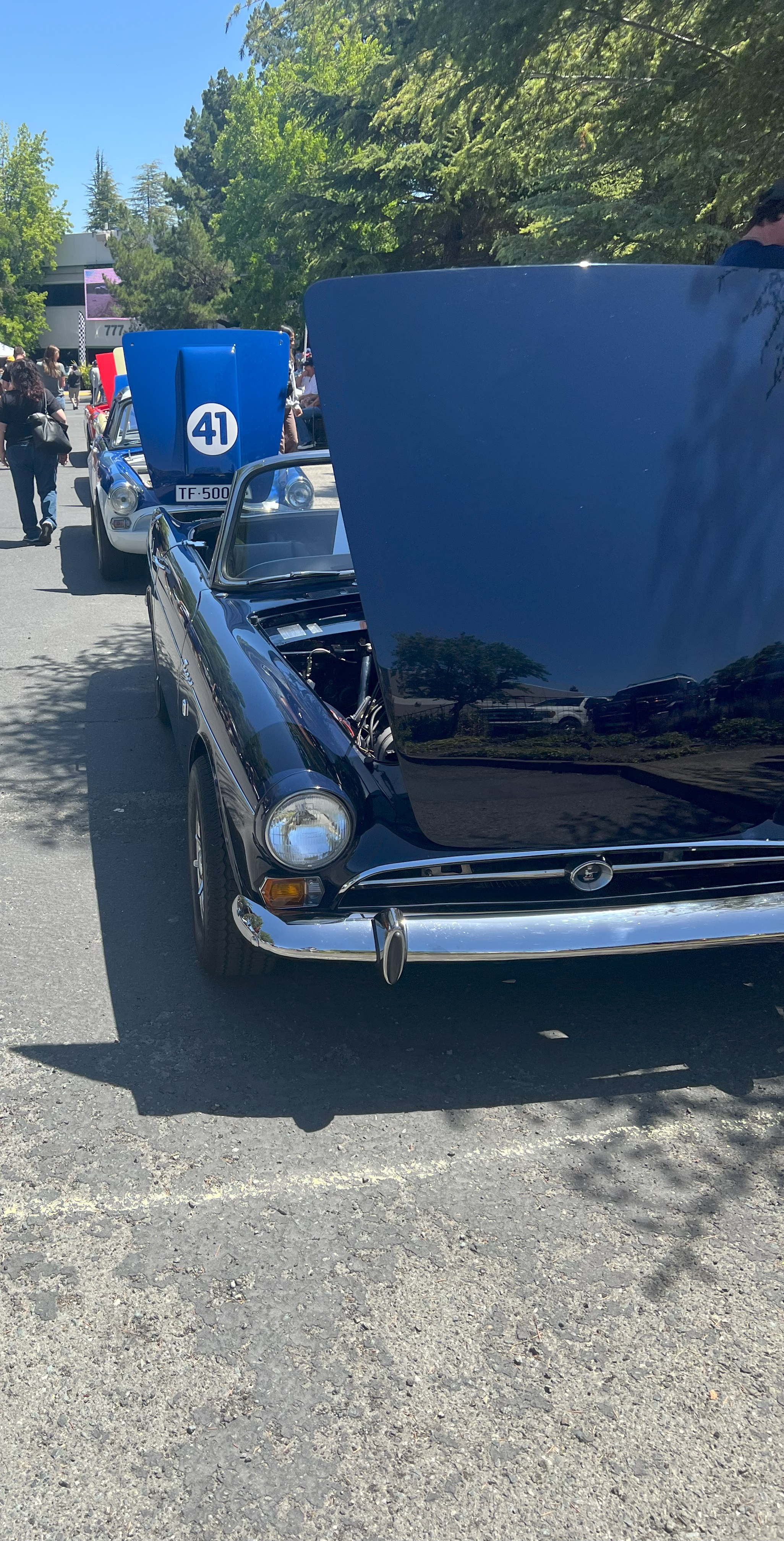 Cobra Day 2024 Sunbeam Tiger x4.jpg