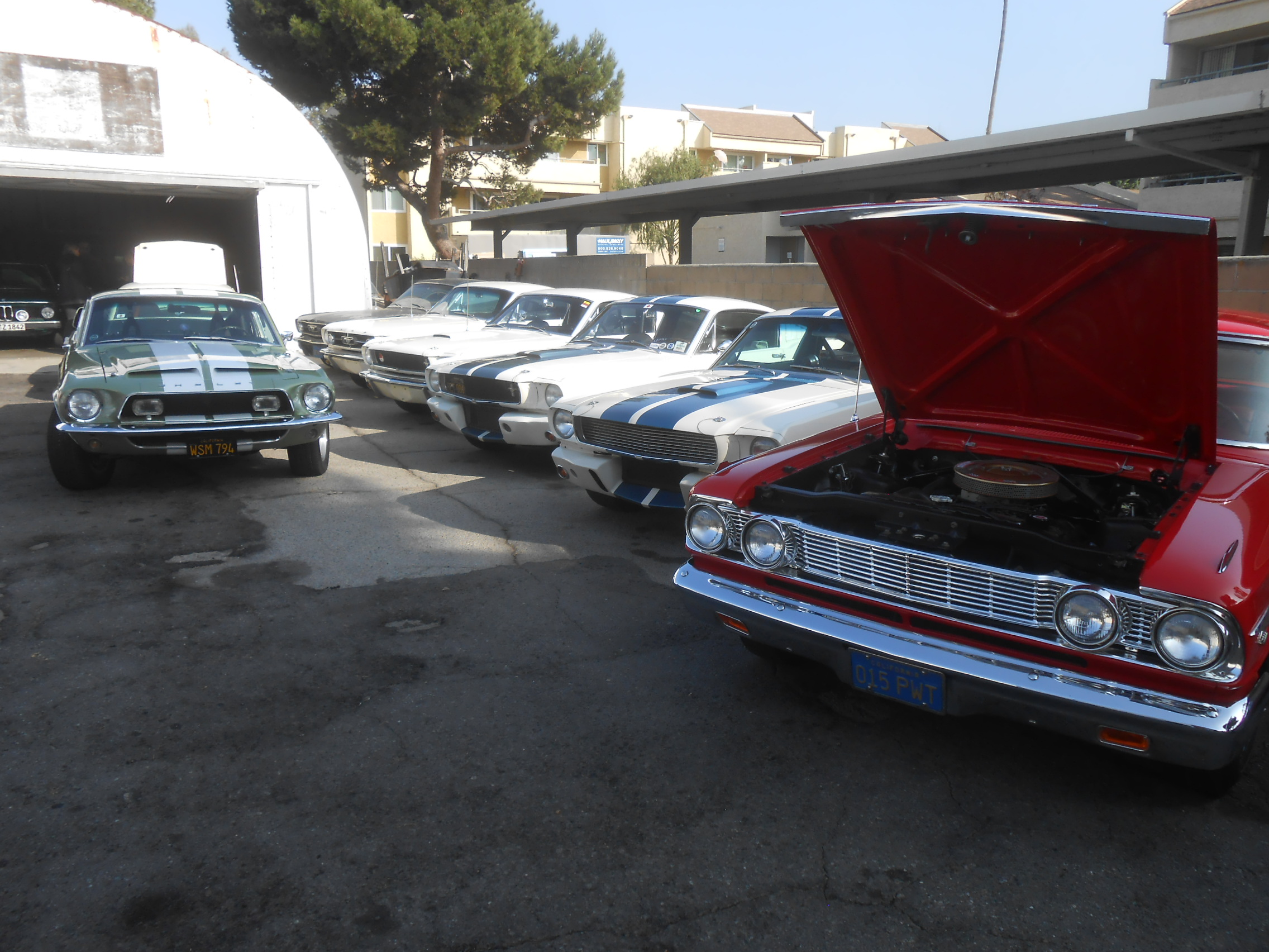 DSCN7730.JPG