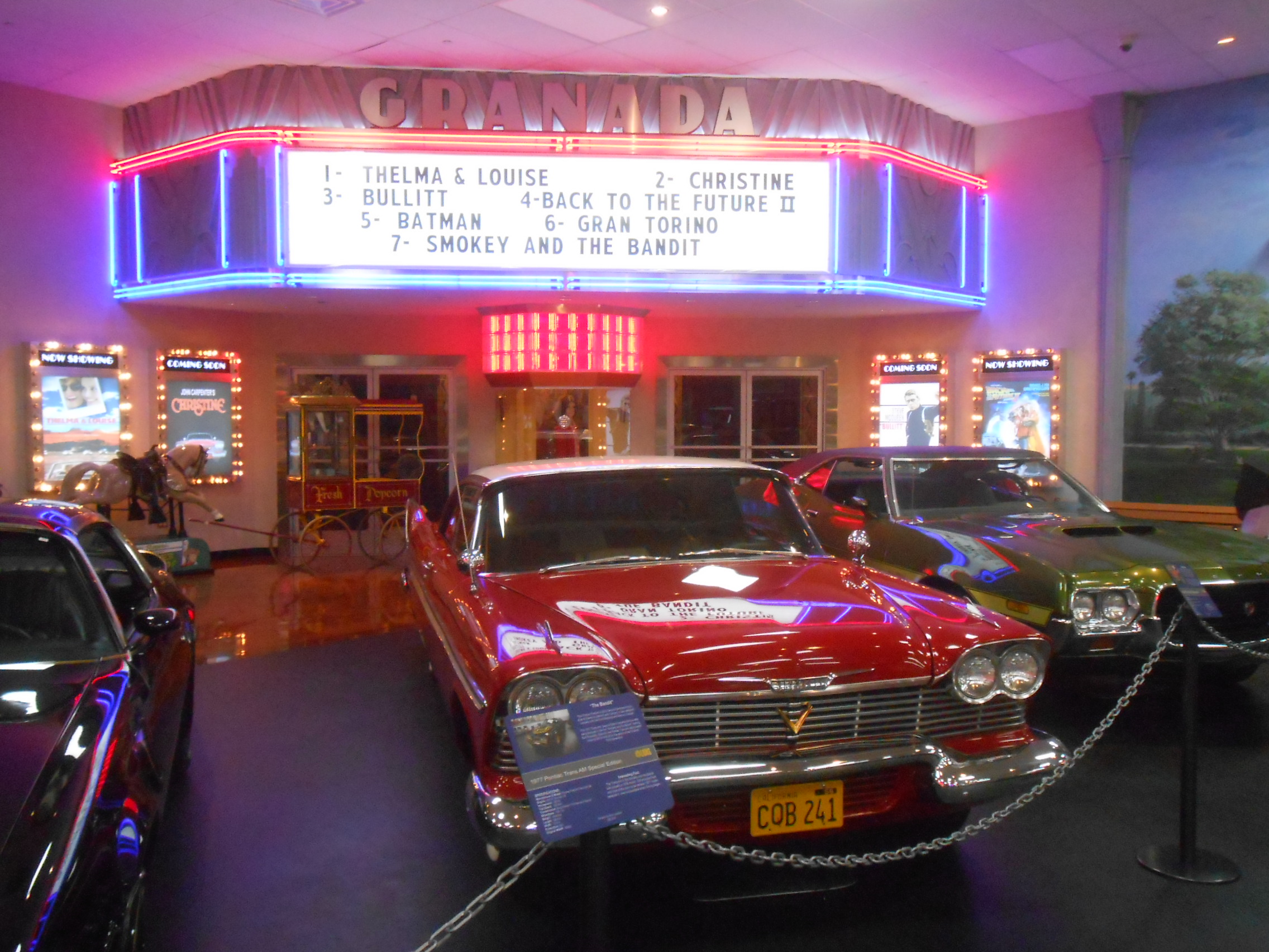 DSCN8131.JPG