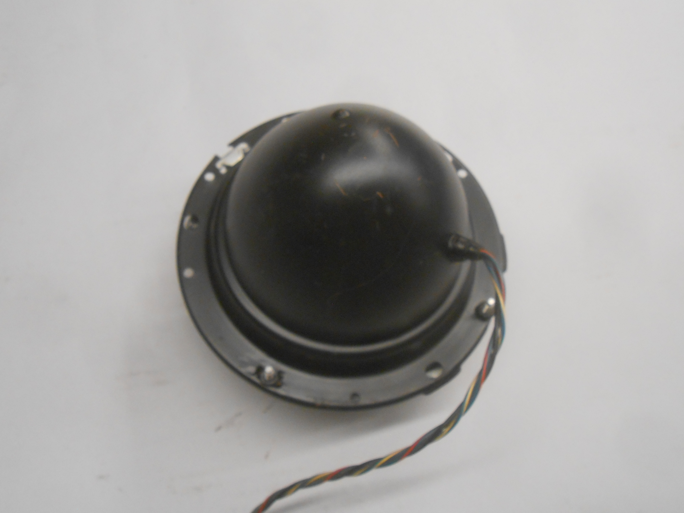 DSCN8731.JPG