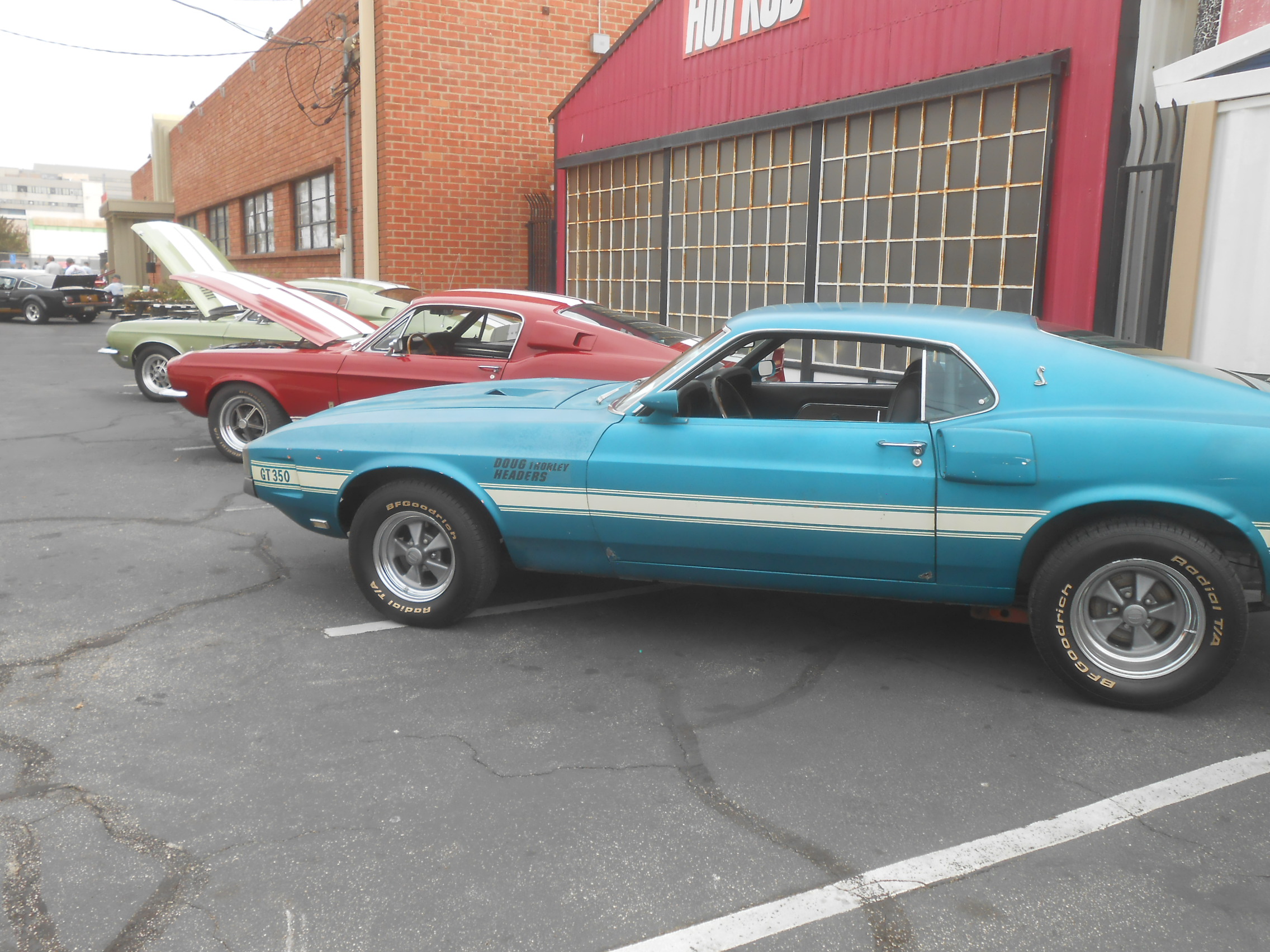 DSCN8906.JPG