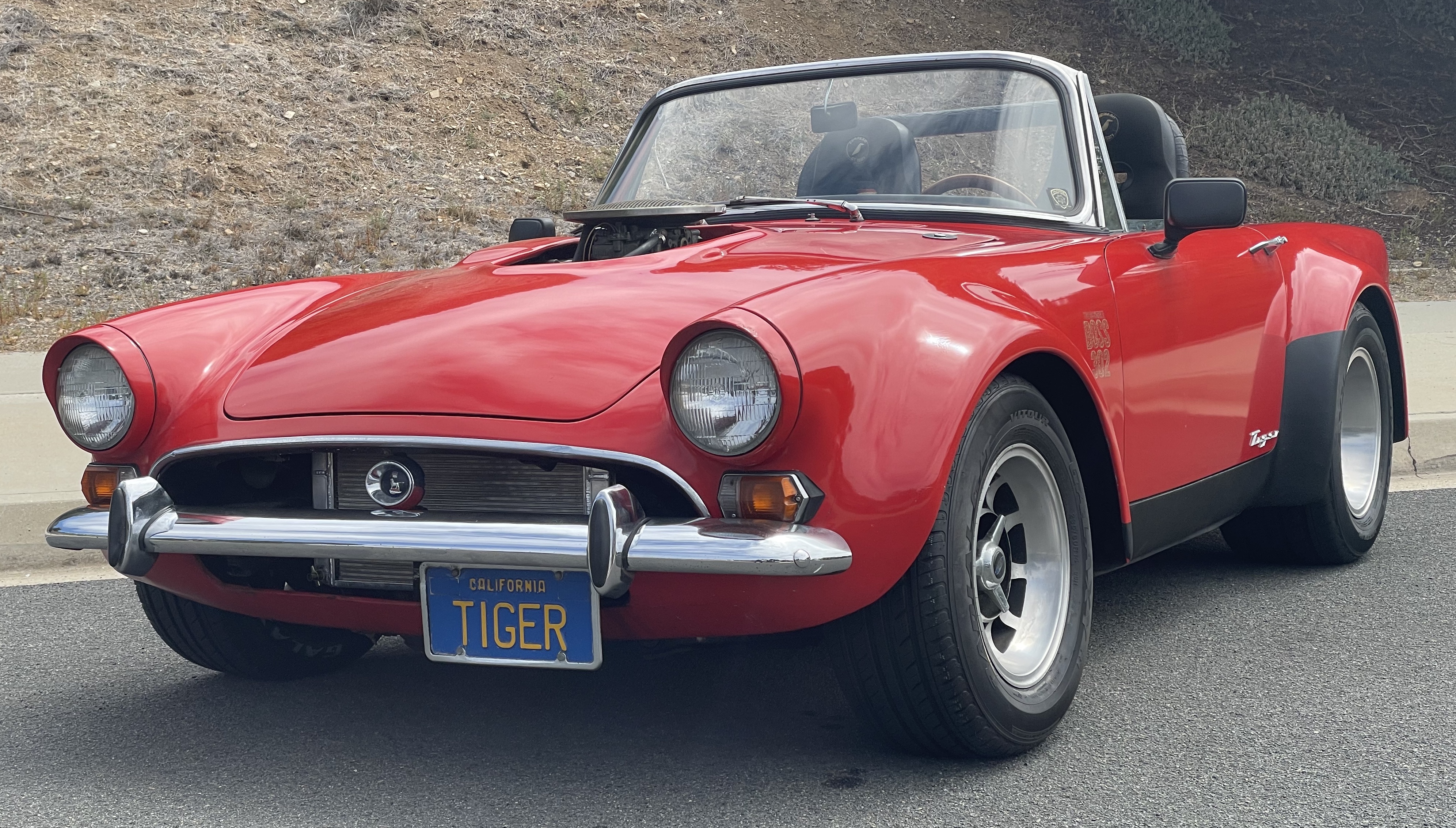 front shot of Tiger July 2021.jpg