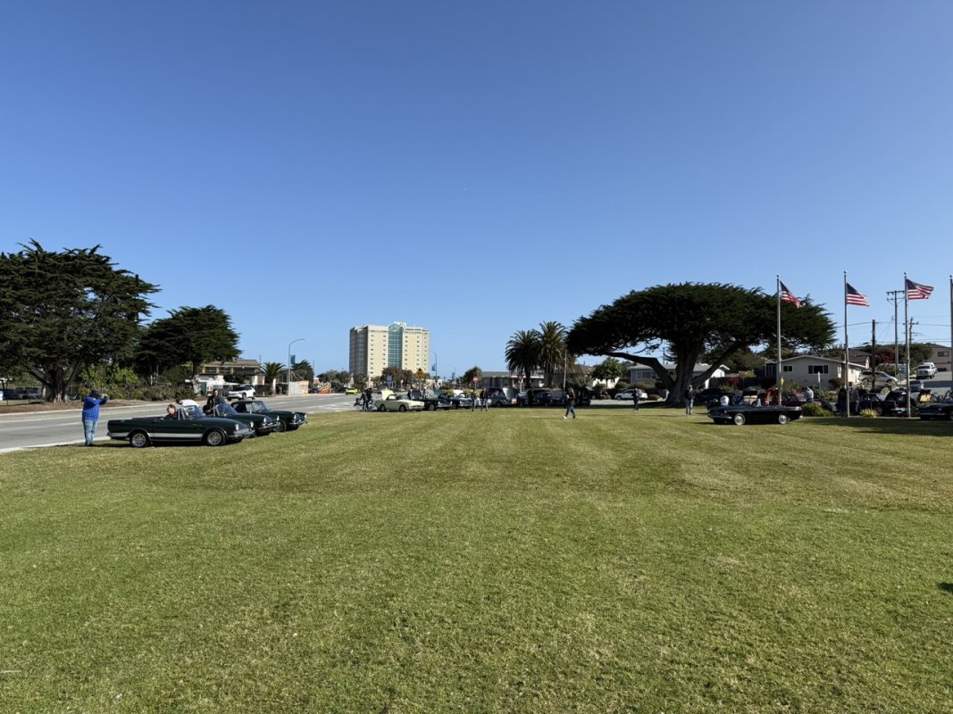 IMG_1193 Large.jpeg
