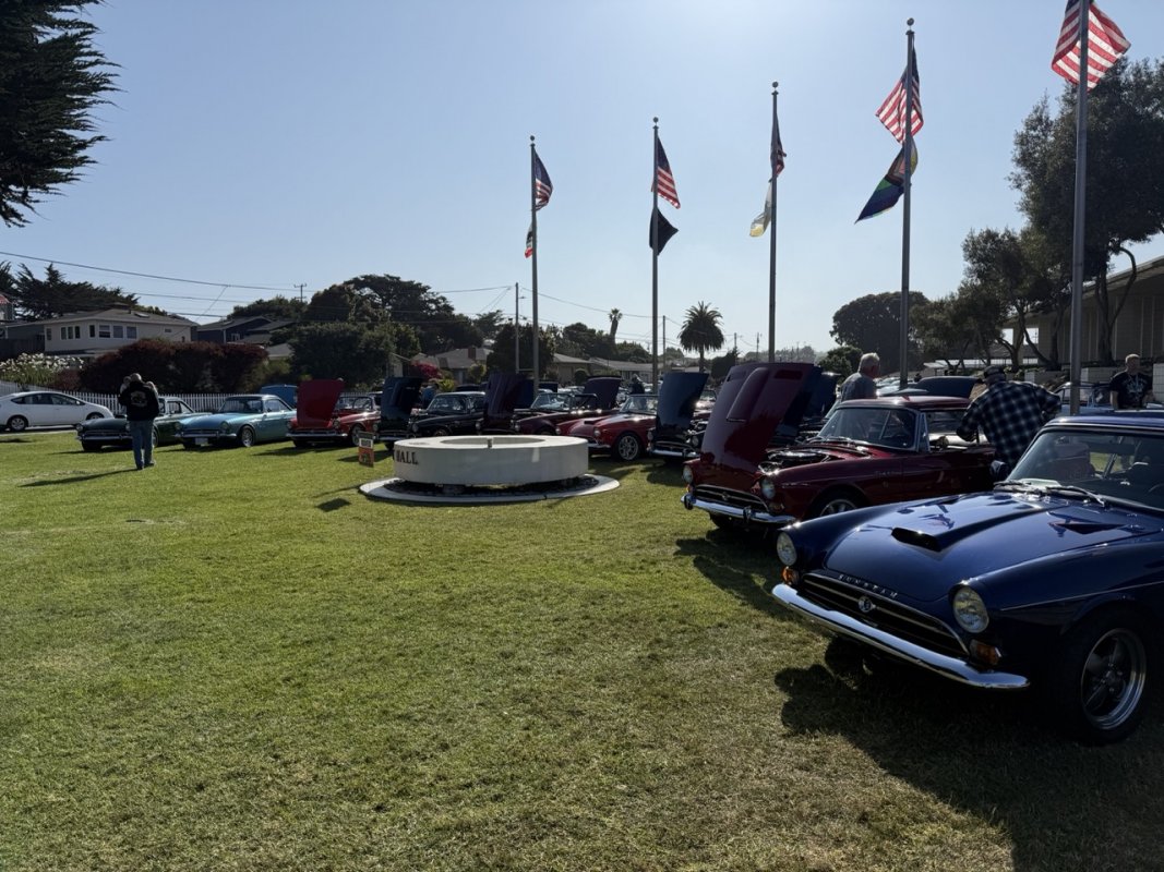 IMG_1194 Large.jpeg
