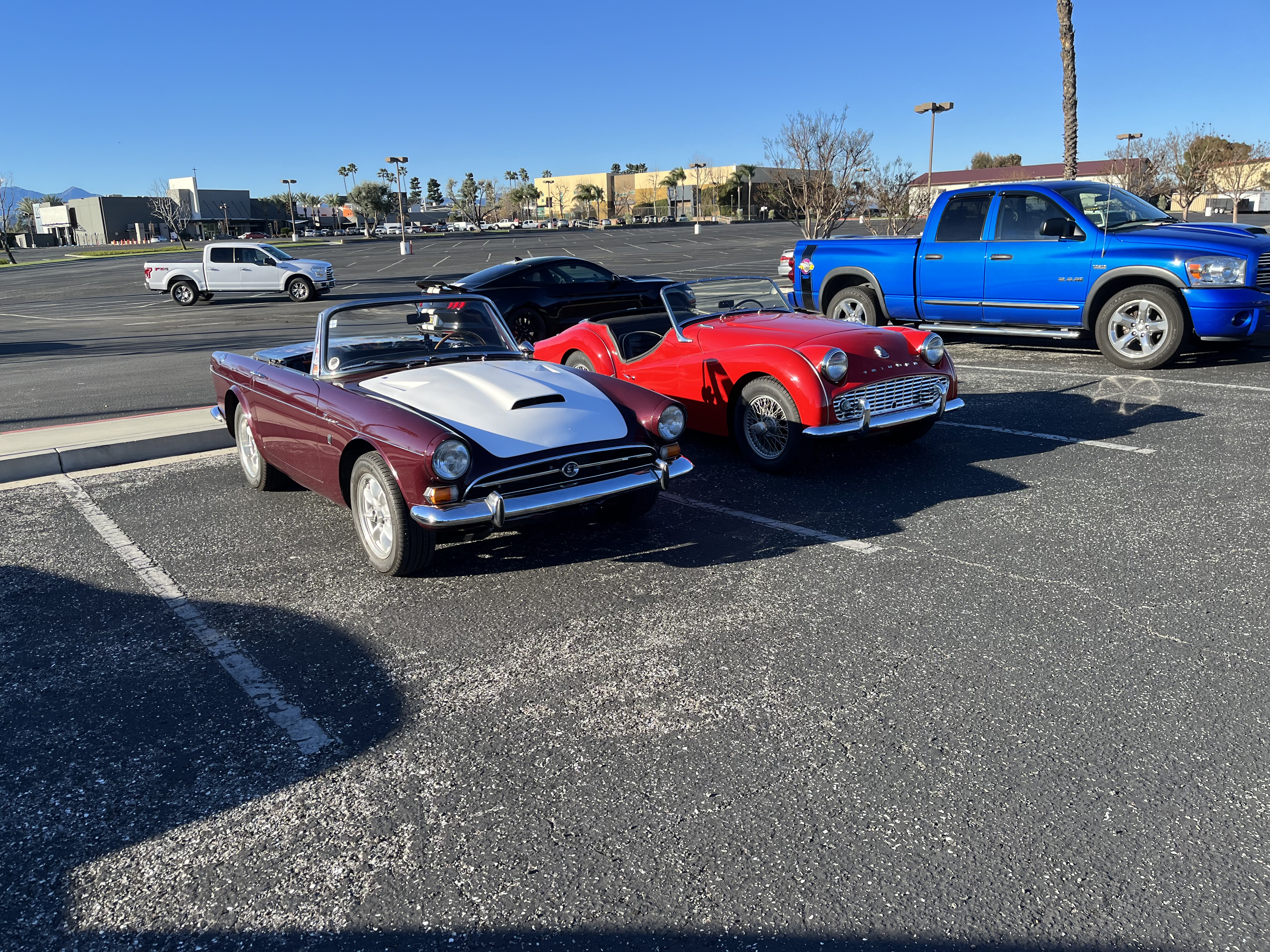 IMG_3974.jpeg