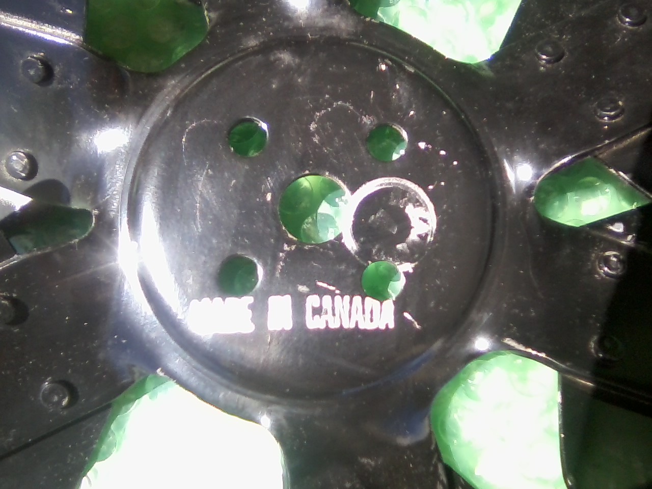 Made in Canada.jpg