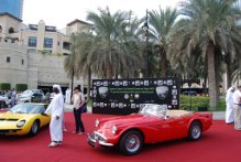 red carpet in desert.jpg