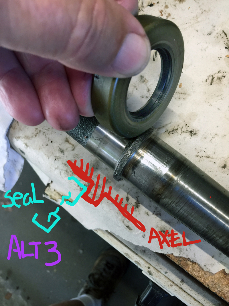 seal solid side inside.jpg