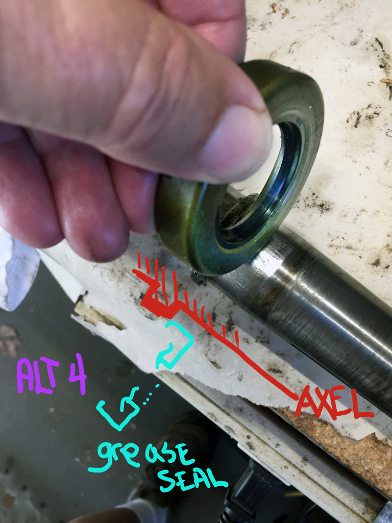 seal solid side out.jpg