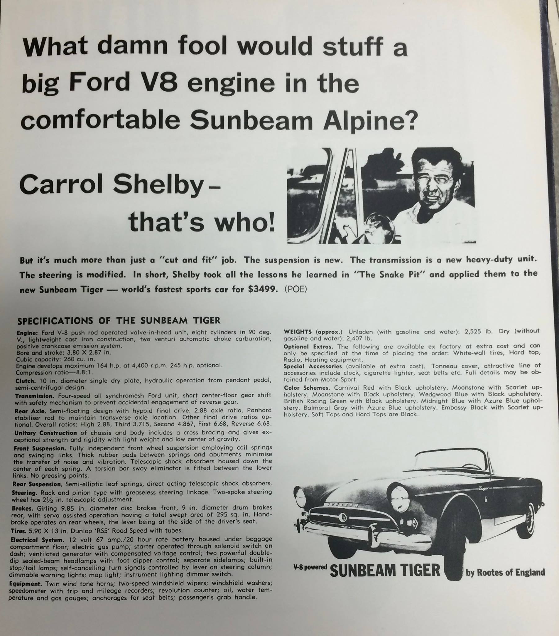 Tiger ad Shelby (2).jpg