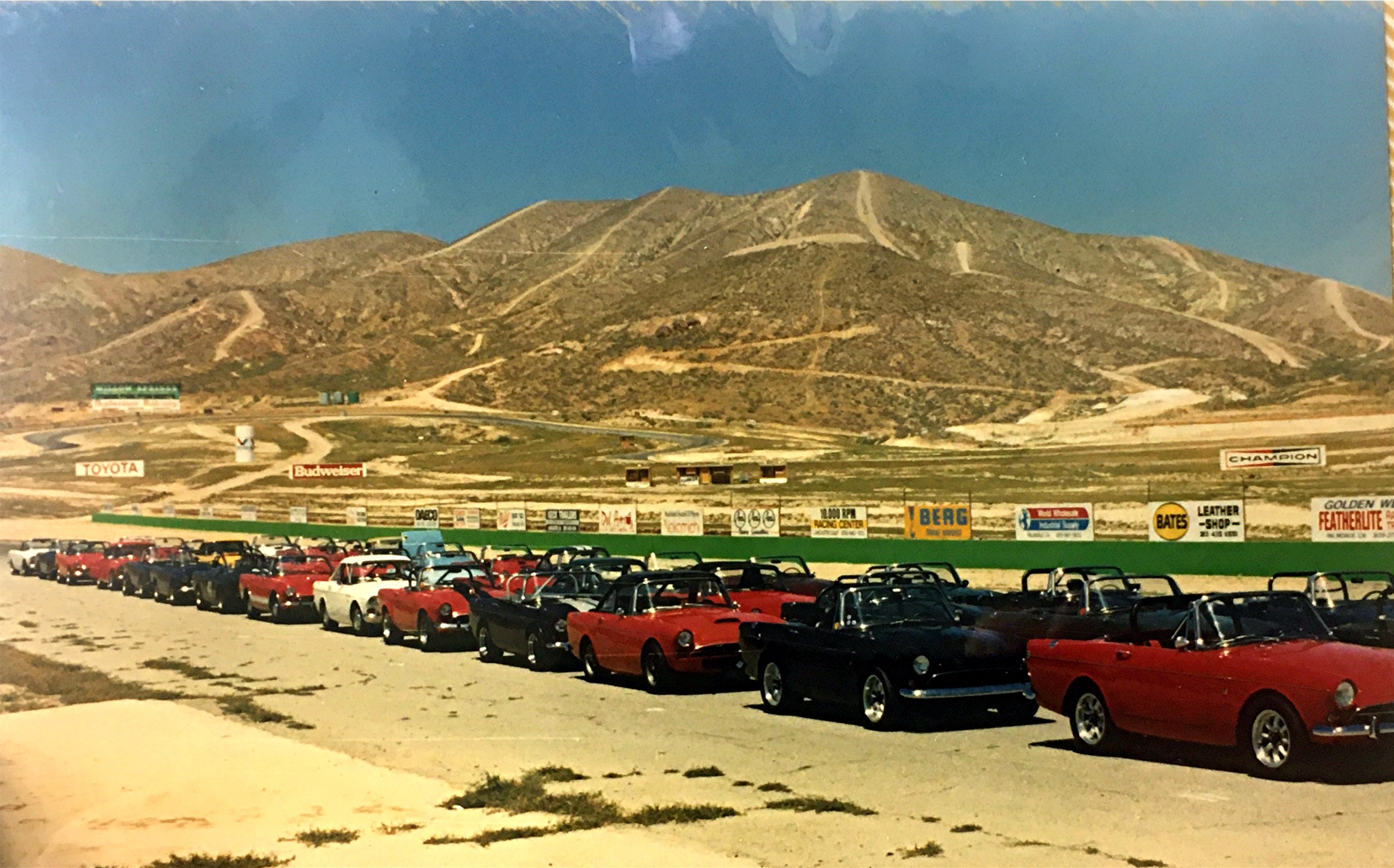 Tigers at Willow '91.JPG