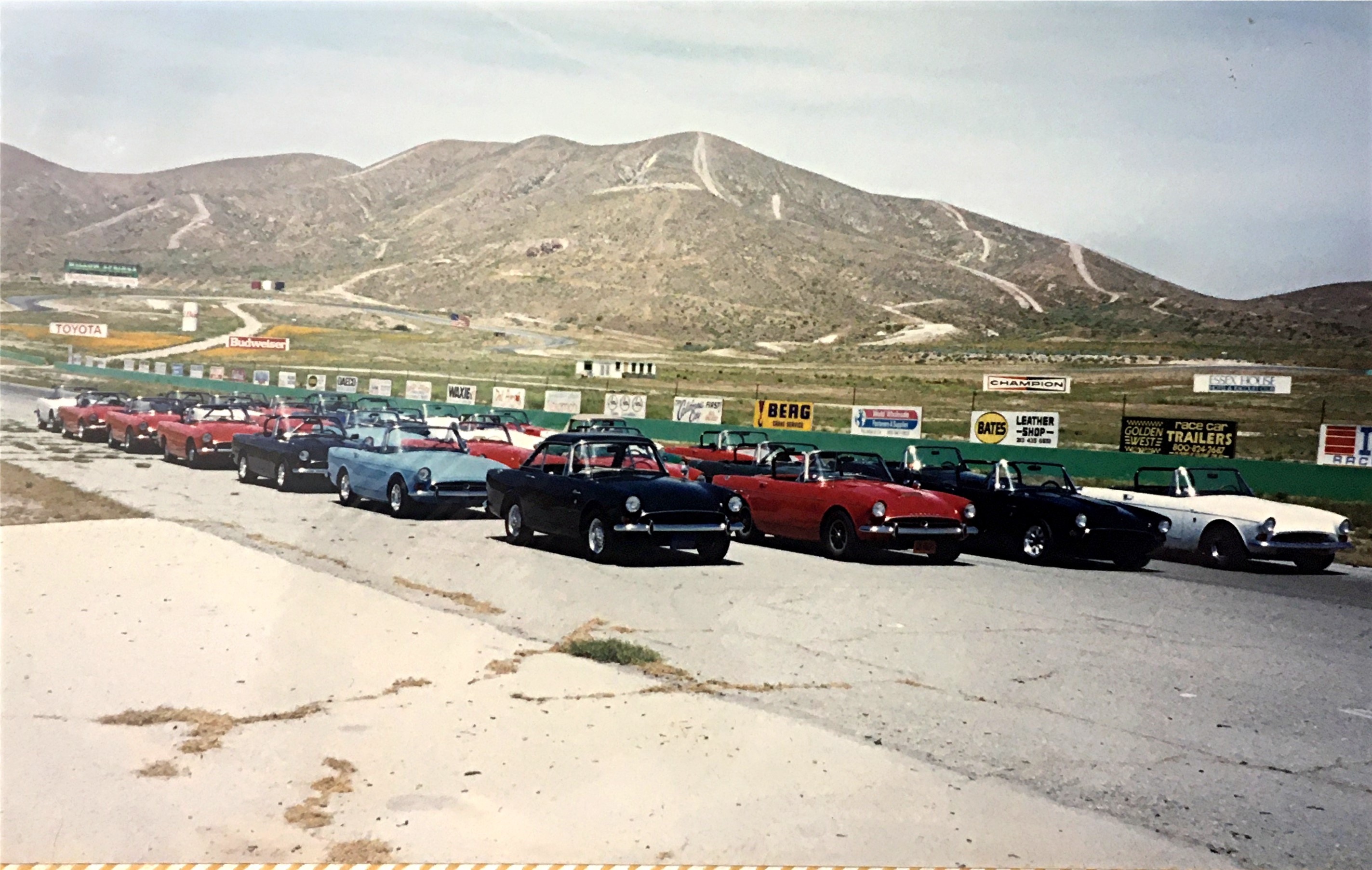 Tigers at Willow '93.JPG