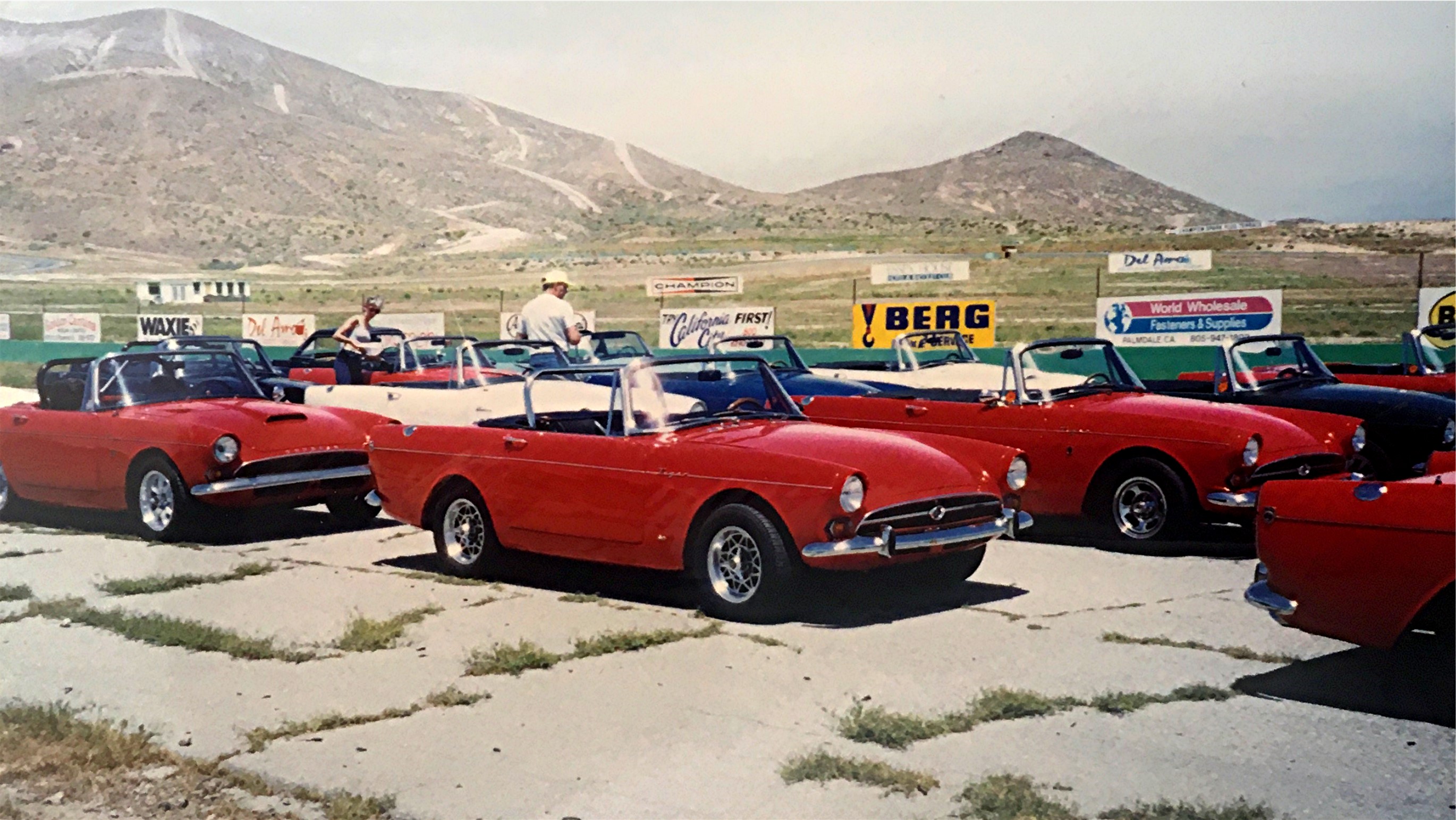 Tigers at Willow 93.JPG
