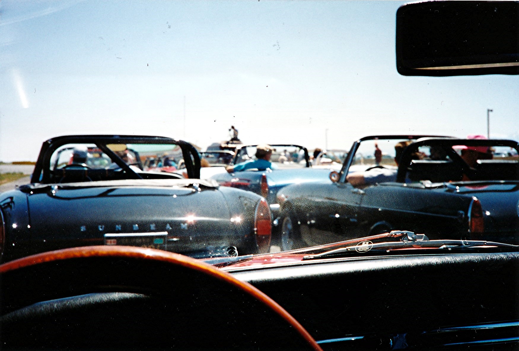 Tigers at Willow '95.jpg