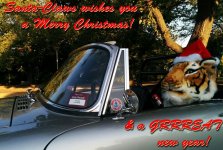 2015_xmas santa-claws_03~2.jpg