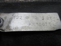 Aluminum Tag - Tiger (Maybe).jpg