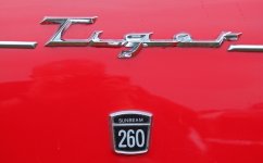 Fender badge.jpeg