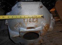 Tiger Bell Wedge 001.JPG