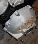Tiger Bell Wedge 002.JPG