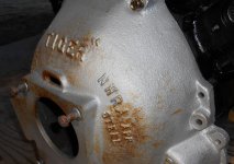 Tiger Bell Wedge 003.JPG