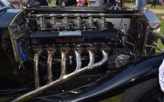 DSC_0378 A.jpg