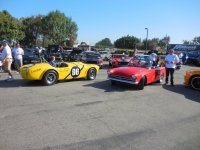 Shelby show 1.JPG