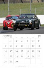 2021 STOA Calendar 11x8.5 - November.jpg
