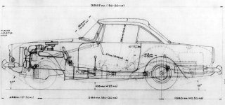 Tiger-Line-Drawing-Side-View.jpg