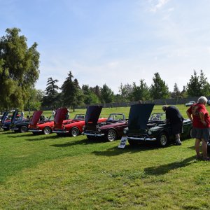 DSC_5852.JPG