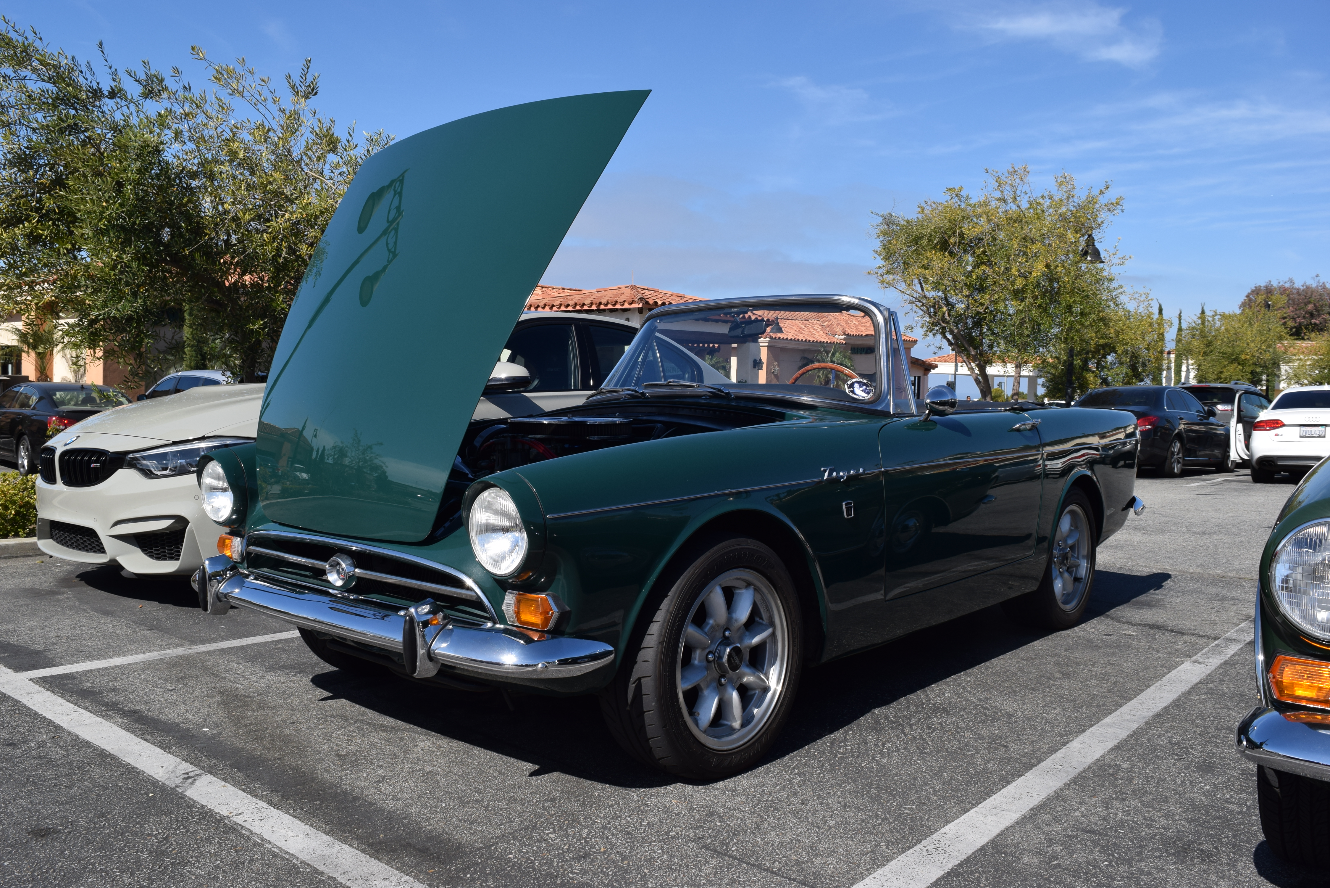 DSC_5769.JPG