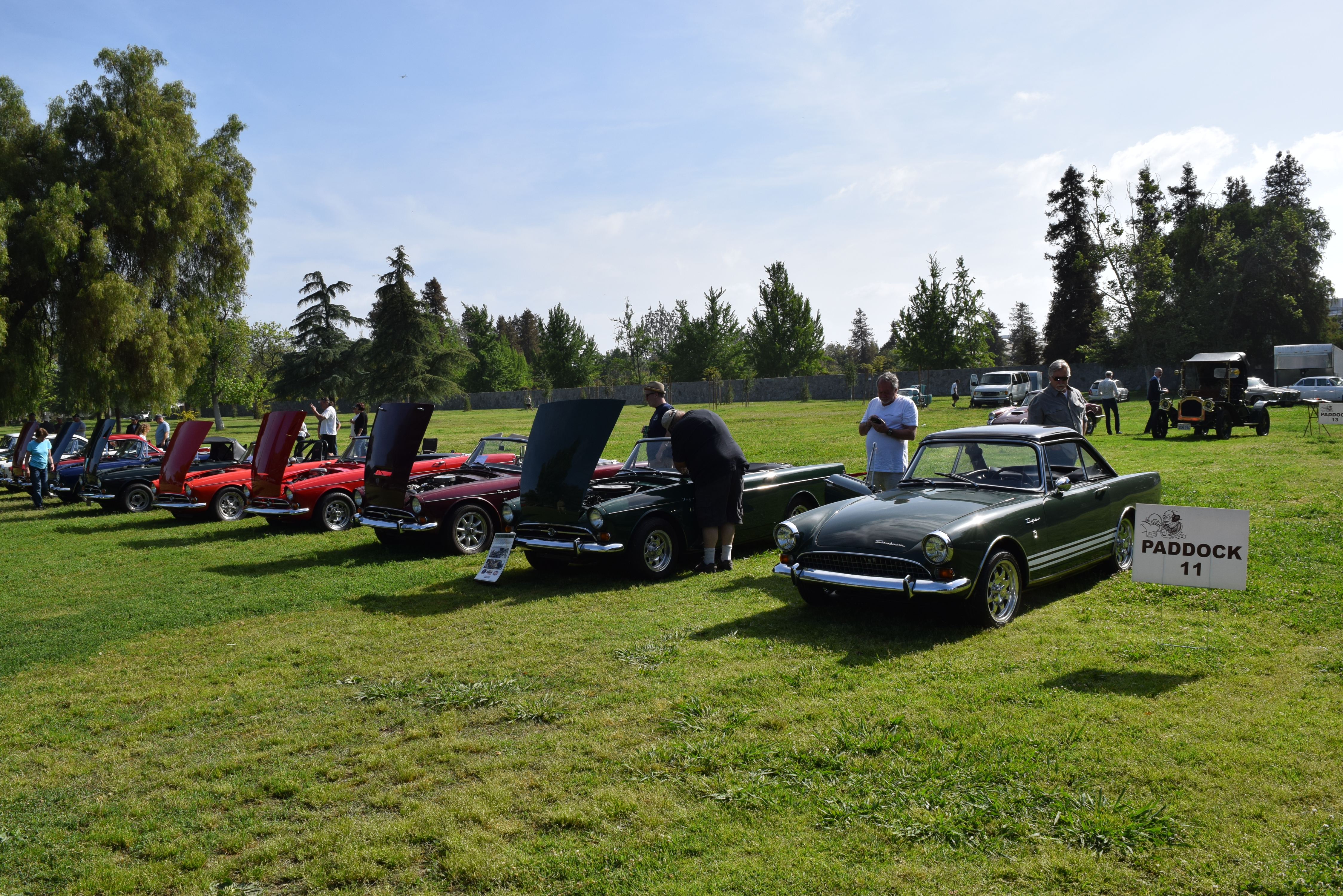 DSC_5851.JPG